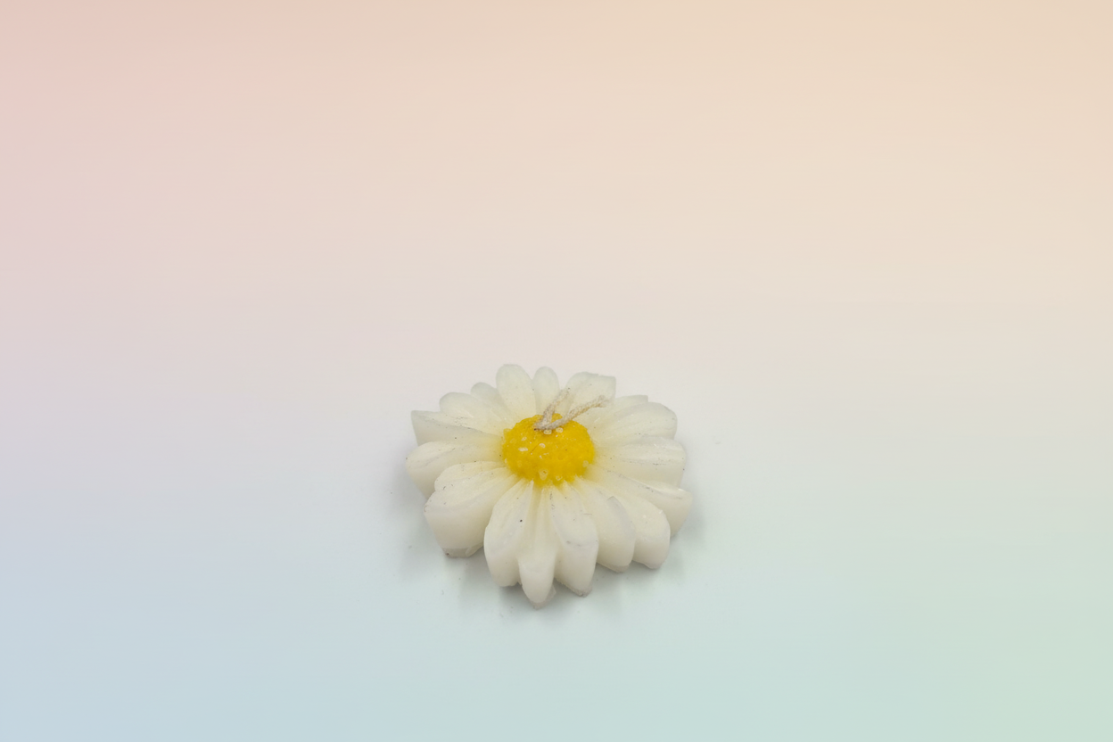 Margarita vela flotante