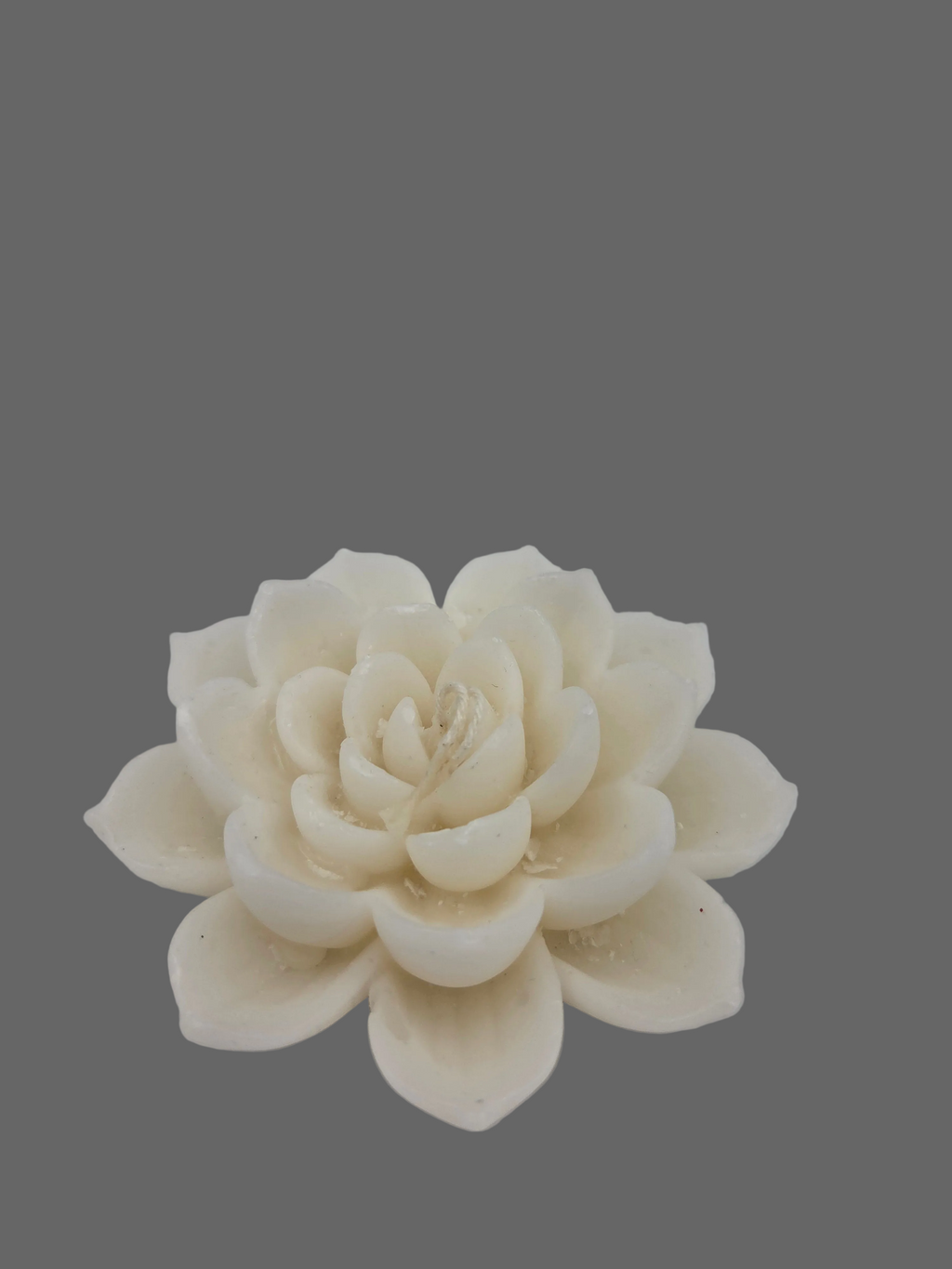 Flor de lotto vela
